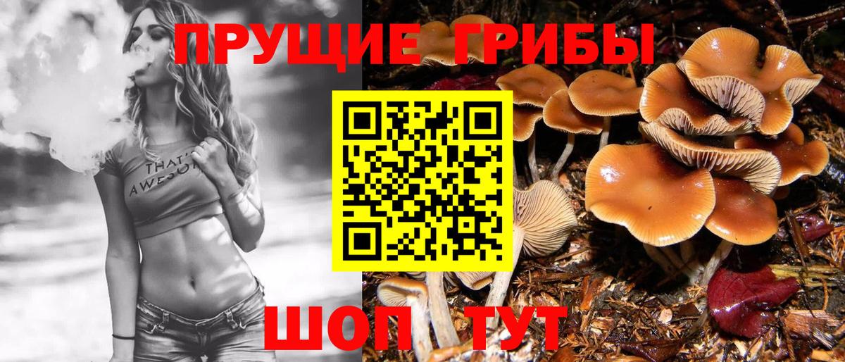 Анжеро-Судженск  Псилоцибиновые грибы прущие грибы  Вход с VPN 
